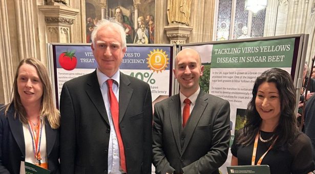 Agri-Science week in Parliament - left to right: Dr Penny Hundleby, Research Partnerships and HP3 Hub Lead at the John Innes Centre, Daniel Zeichner MP and Minister of State (Department for Environment, Food and Rural Affairs), Ben Goldsborough MP, and Dr Mimi Tanimoto, Policy and Public Affairs Manager at the John Innes Centre.