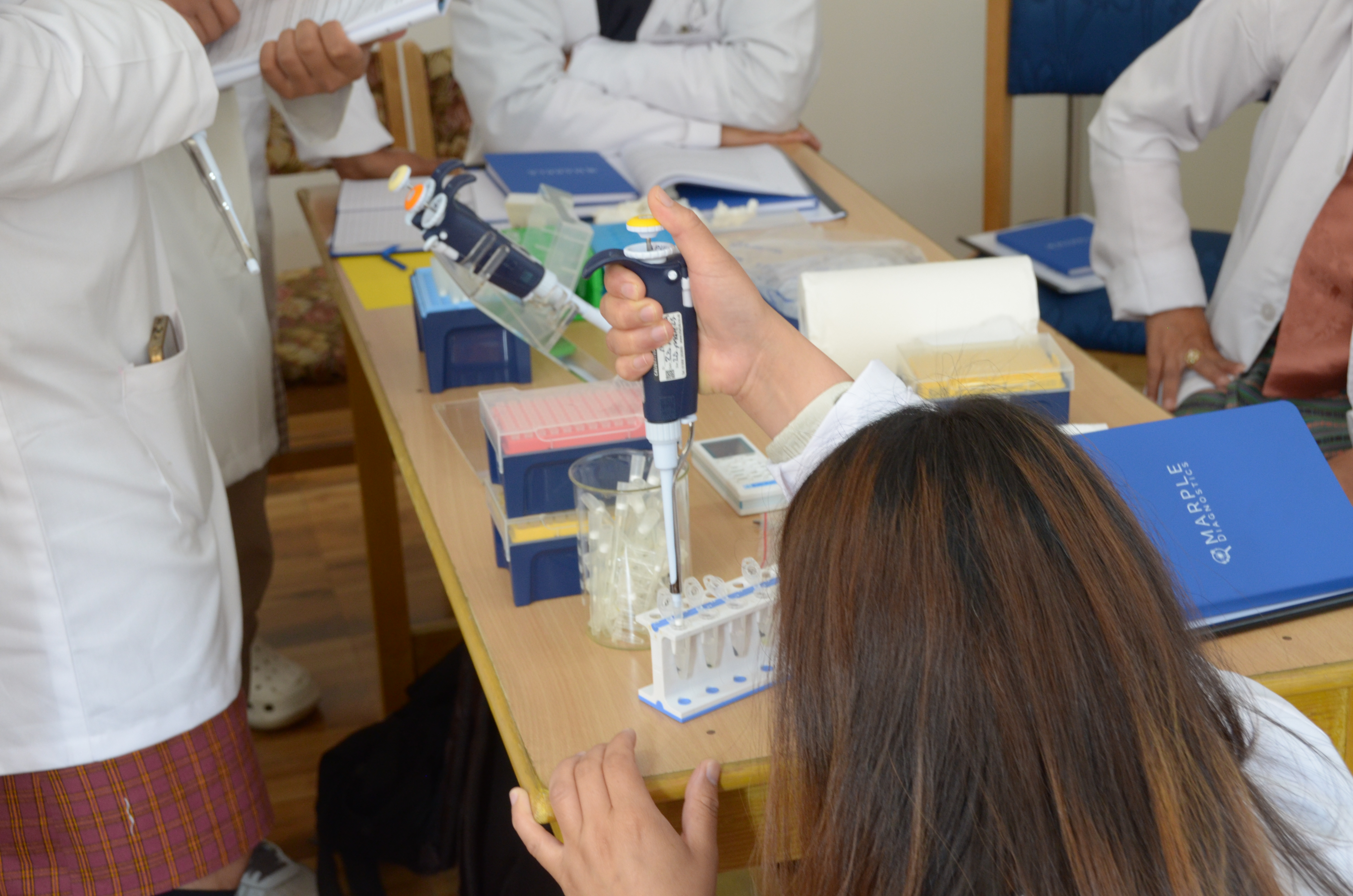 A MARPLE diagnostics workshop in Bhutan