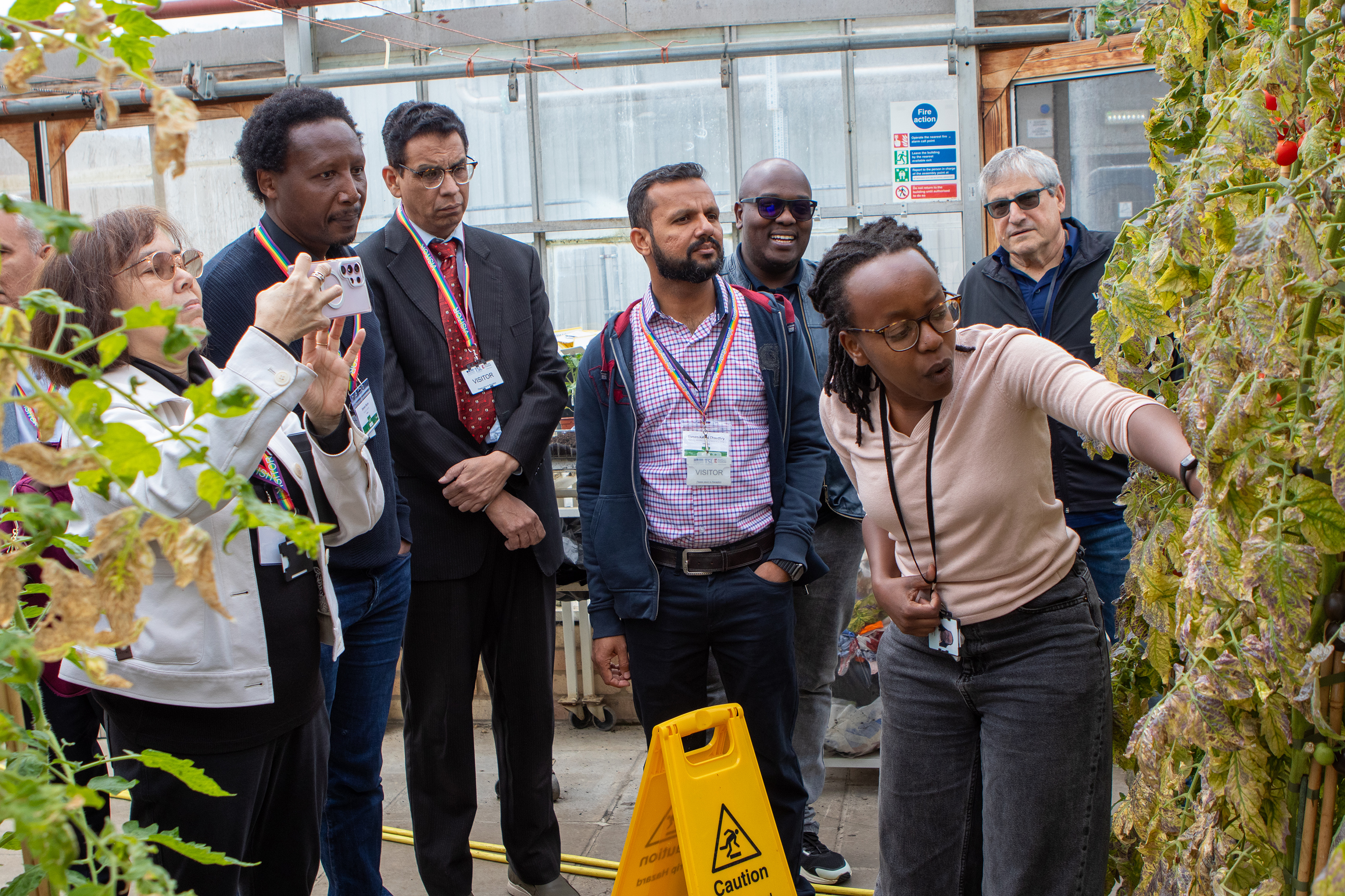 PhD student Brenda Mionki explains her project on gene-edited tomatoes at the John Innes Centre. Image Matt Heaton