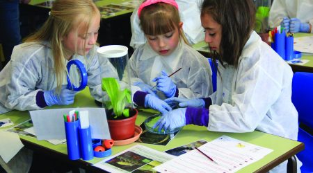 Three children engaging with plant science through the SAW trust