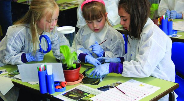 Three children engaging with plant science through the SAW trust