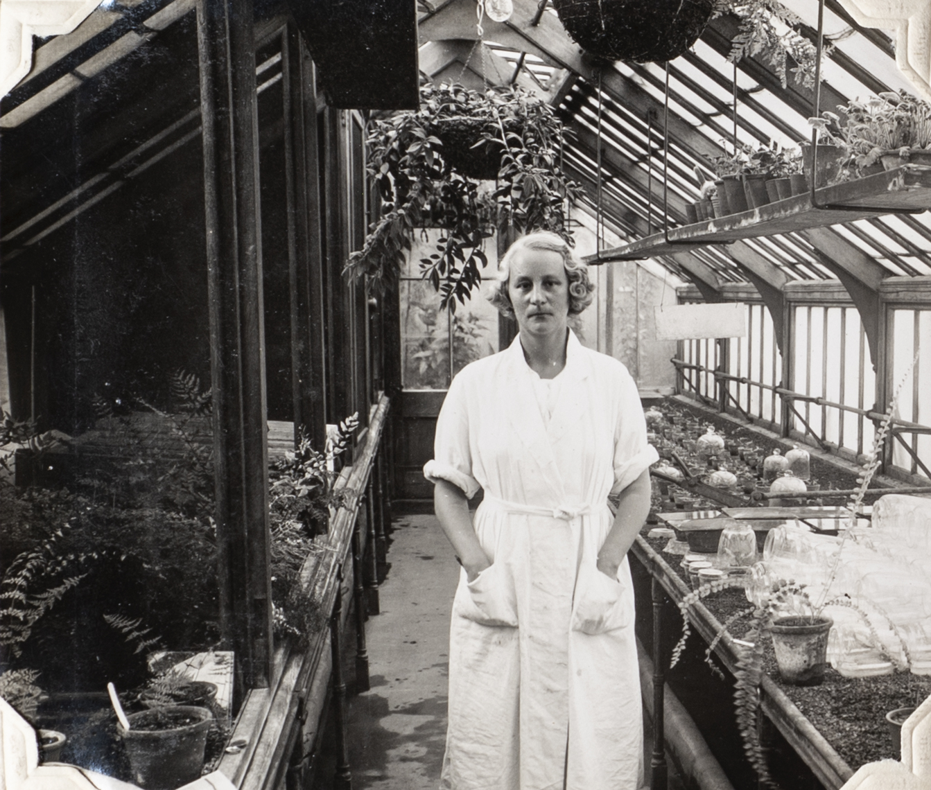 Andersson Kotto in the fern glasshouse at The John Innes Horticultural Institute, Merton, 1920s (John Innes Centre Archive, Historic Collections).
